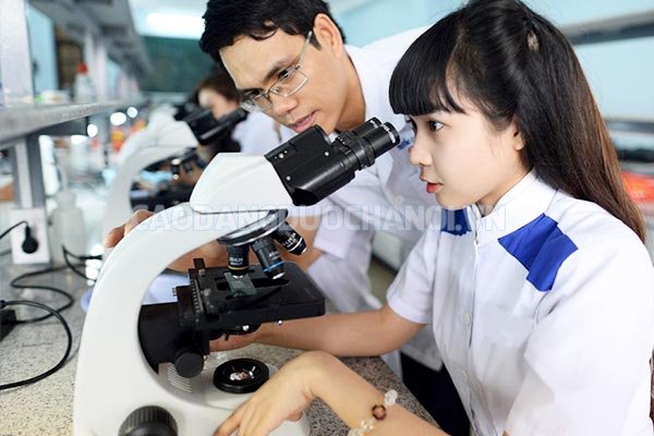 Liên thông lên Cao đẳng Dược nên học trường nào ở Hà Nội?